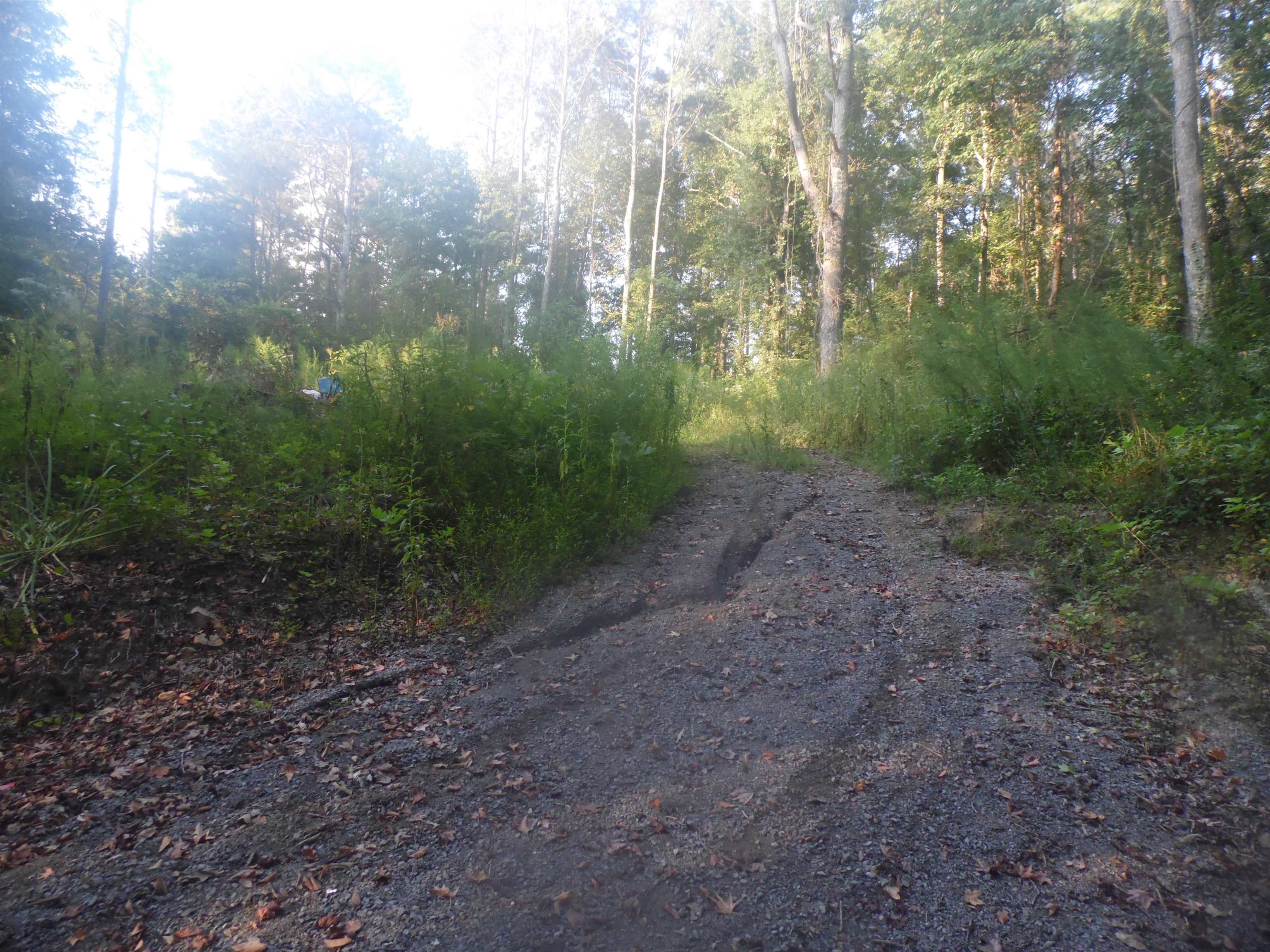 527 Co Rd 1216