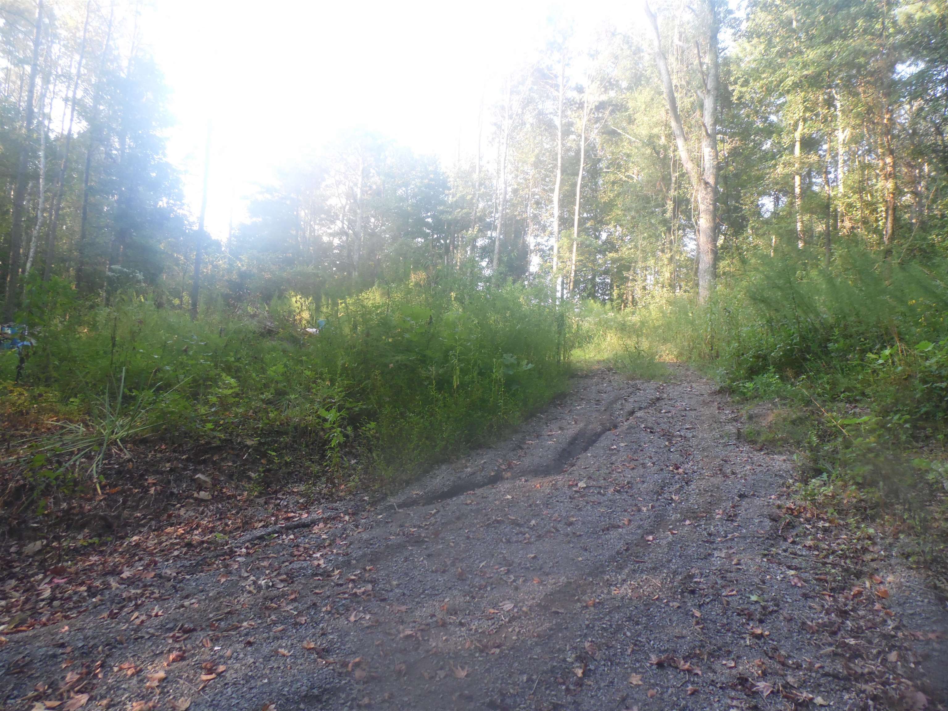527 Co Rd 1216
