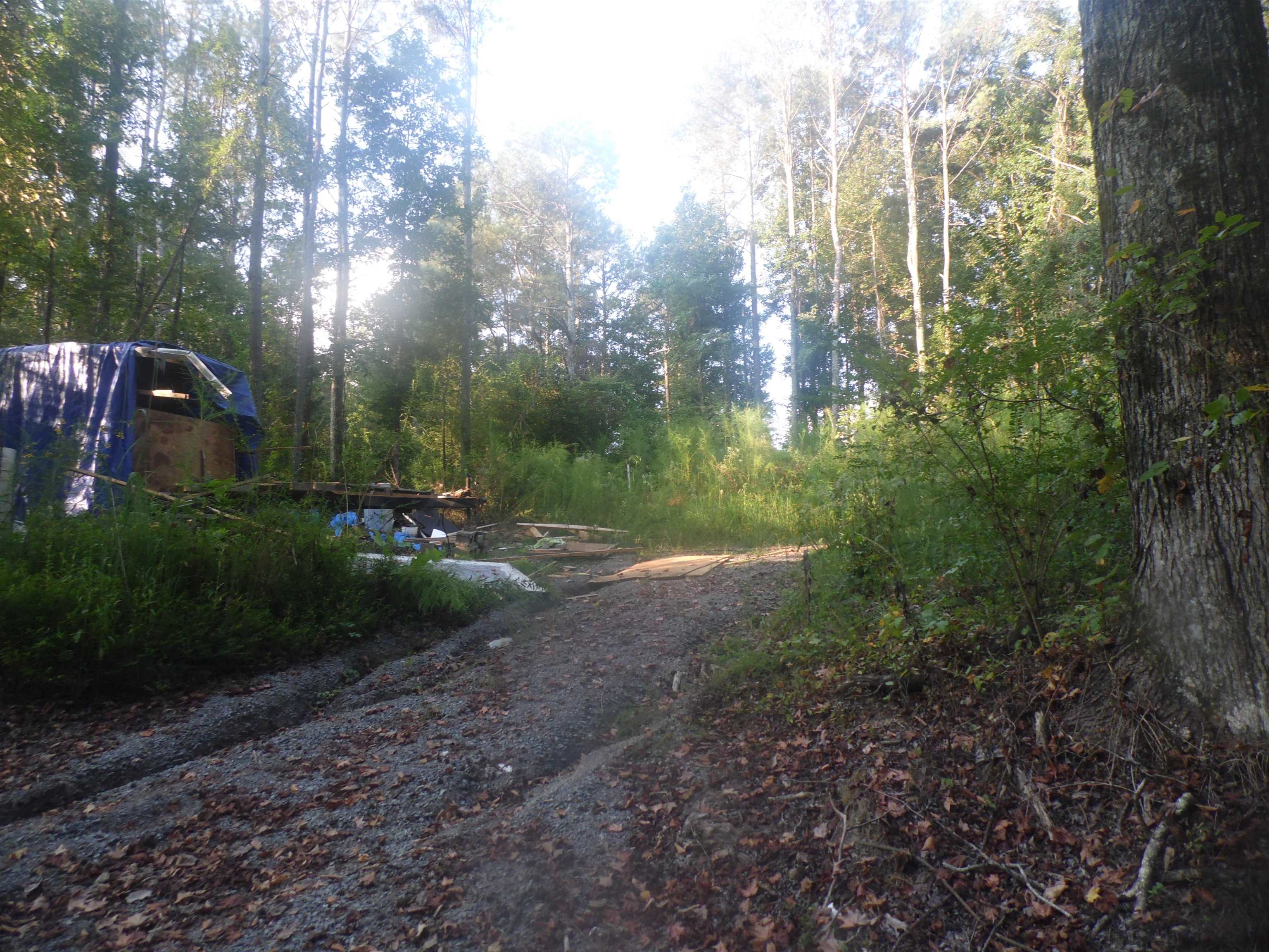 527 Co Rd 1216