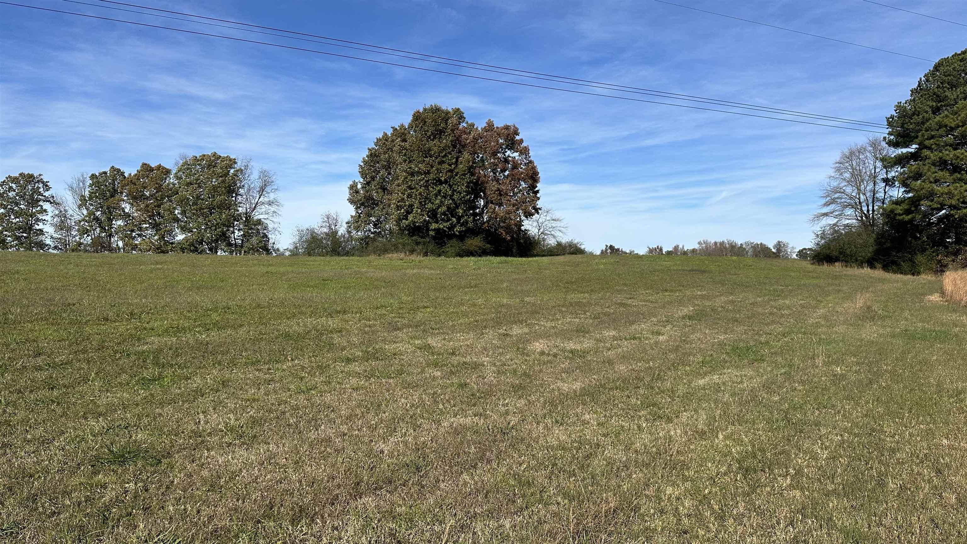 TBD Mt Carmel Rd