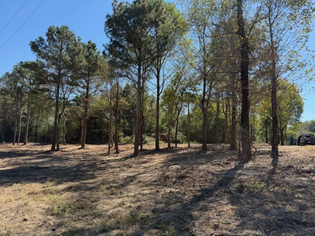 Lot 3 Co Rd 1497