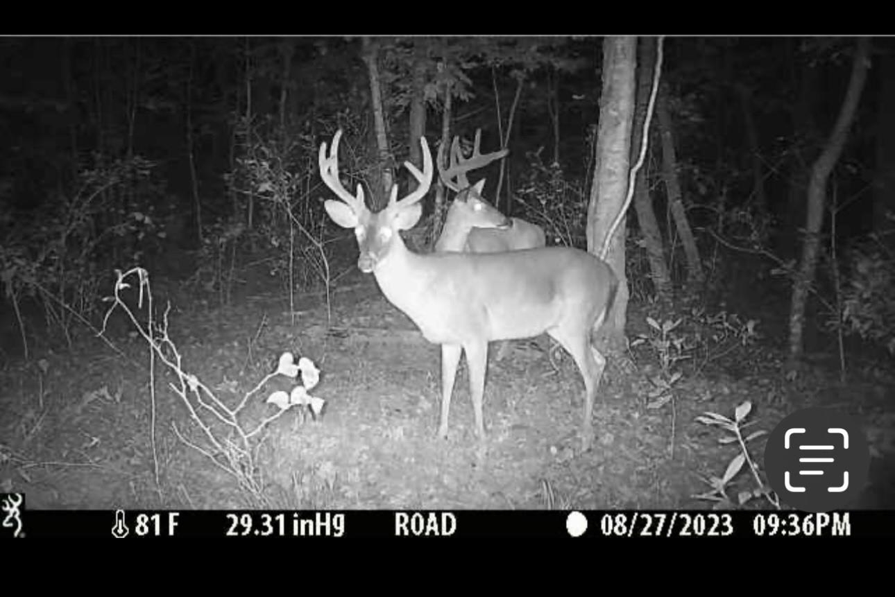 28940 US Hwy 78