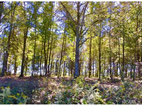 4271 Co Rd 1669 Cullman AL 35058