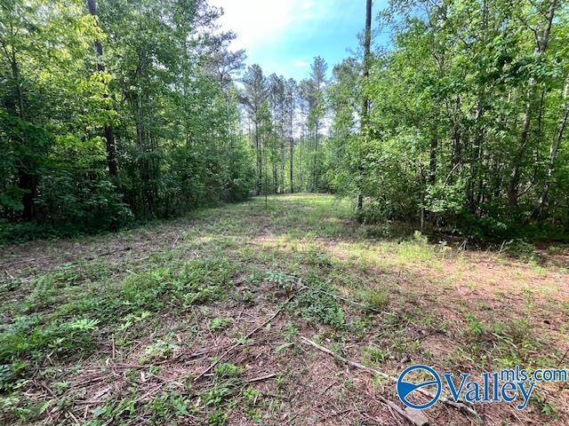 2040 Co Rd 1082
