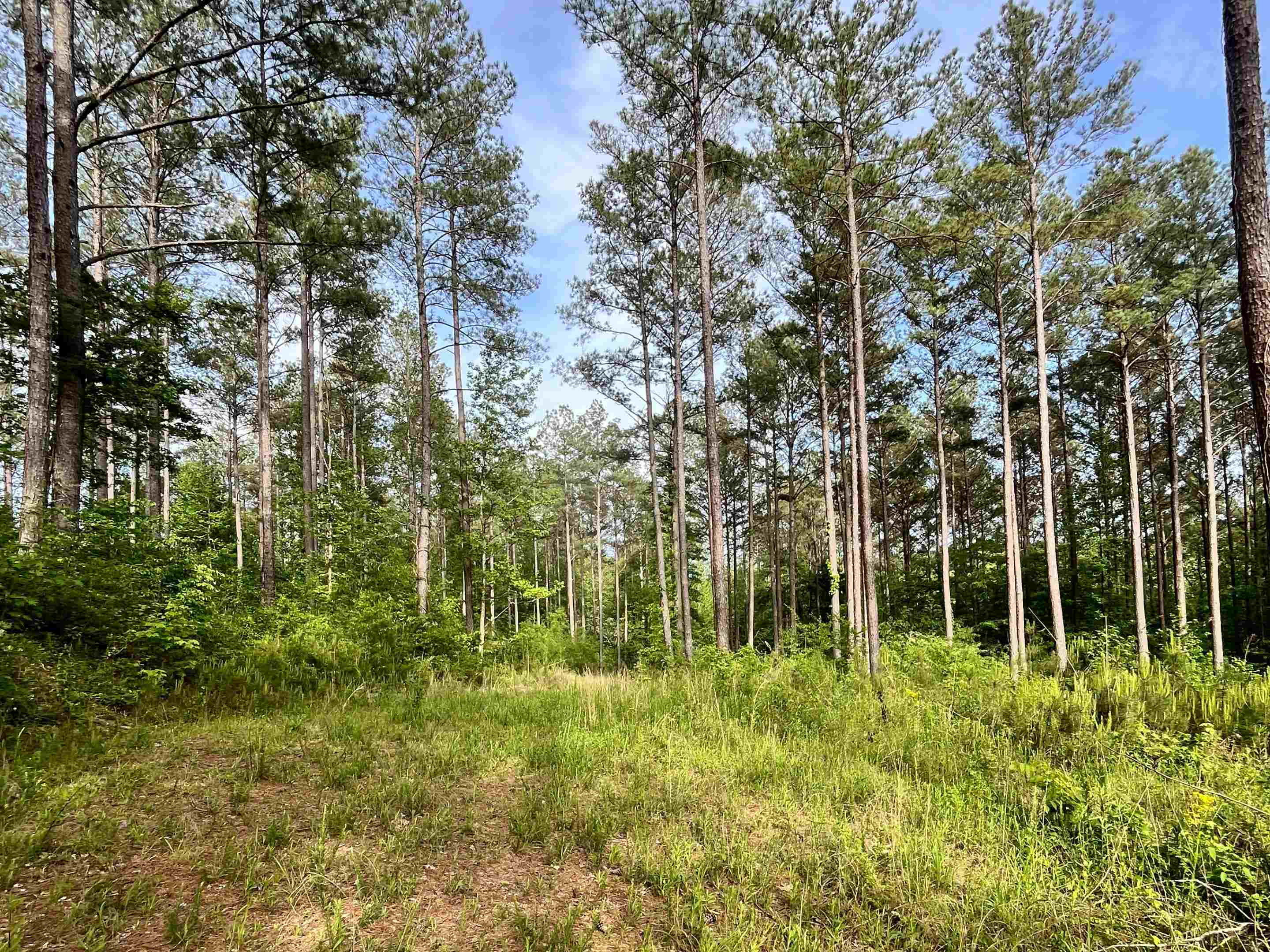 2040 Co Rd 1082