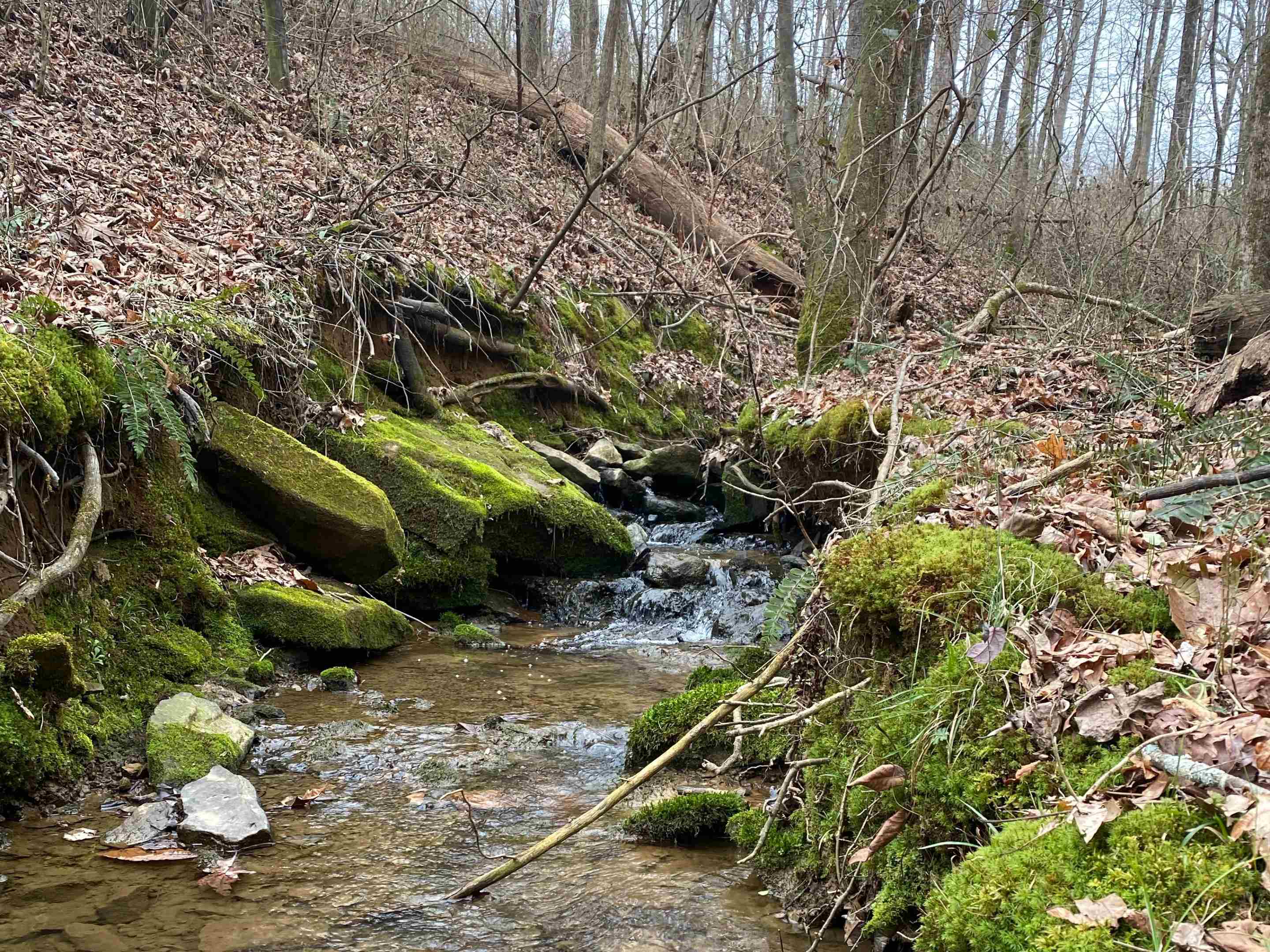 2040 Co Rd 1082