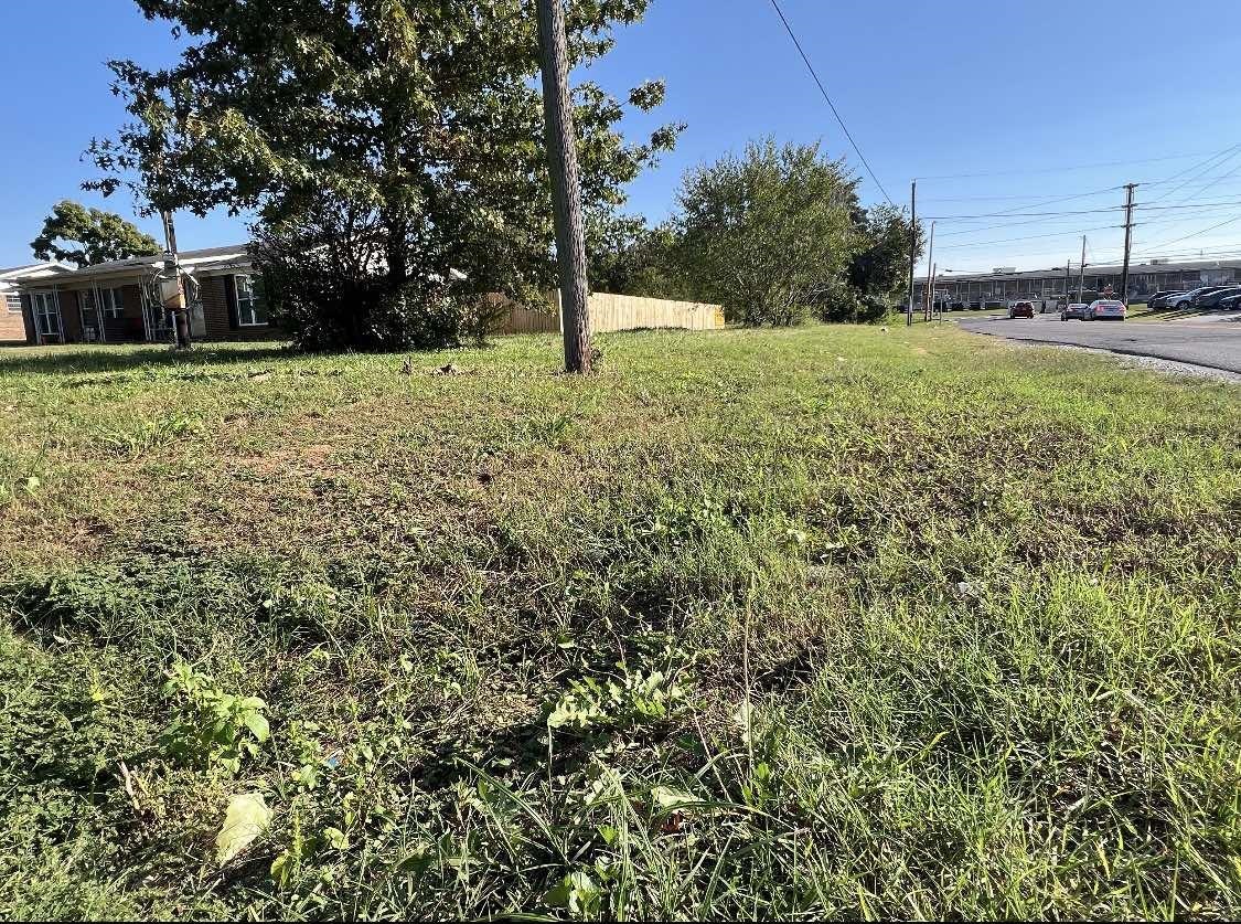 0 Candler Ave - Photo 4