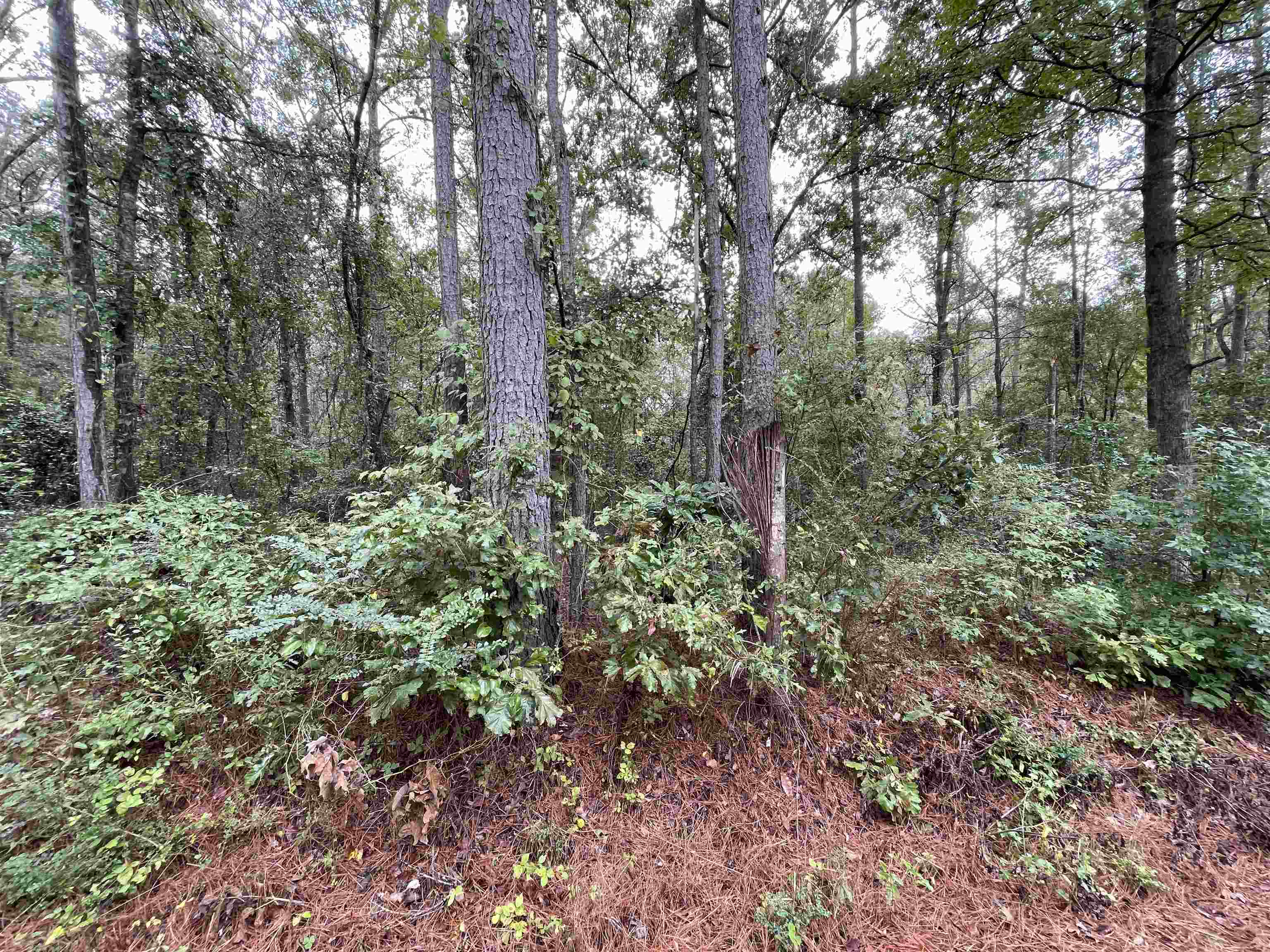0 11th St - Photo 2