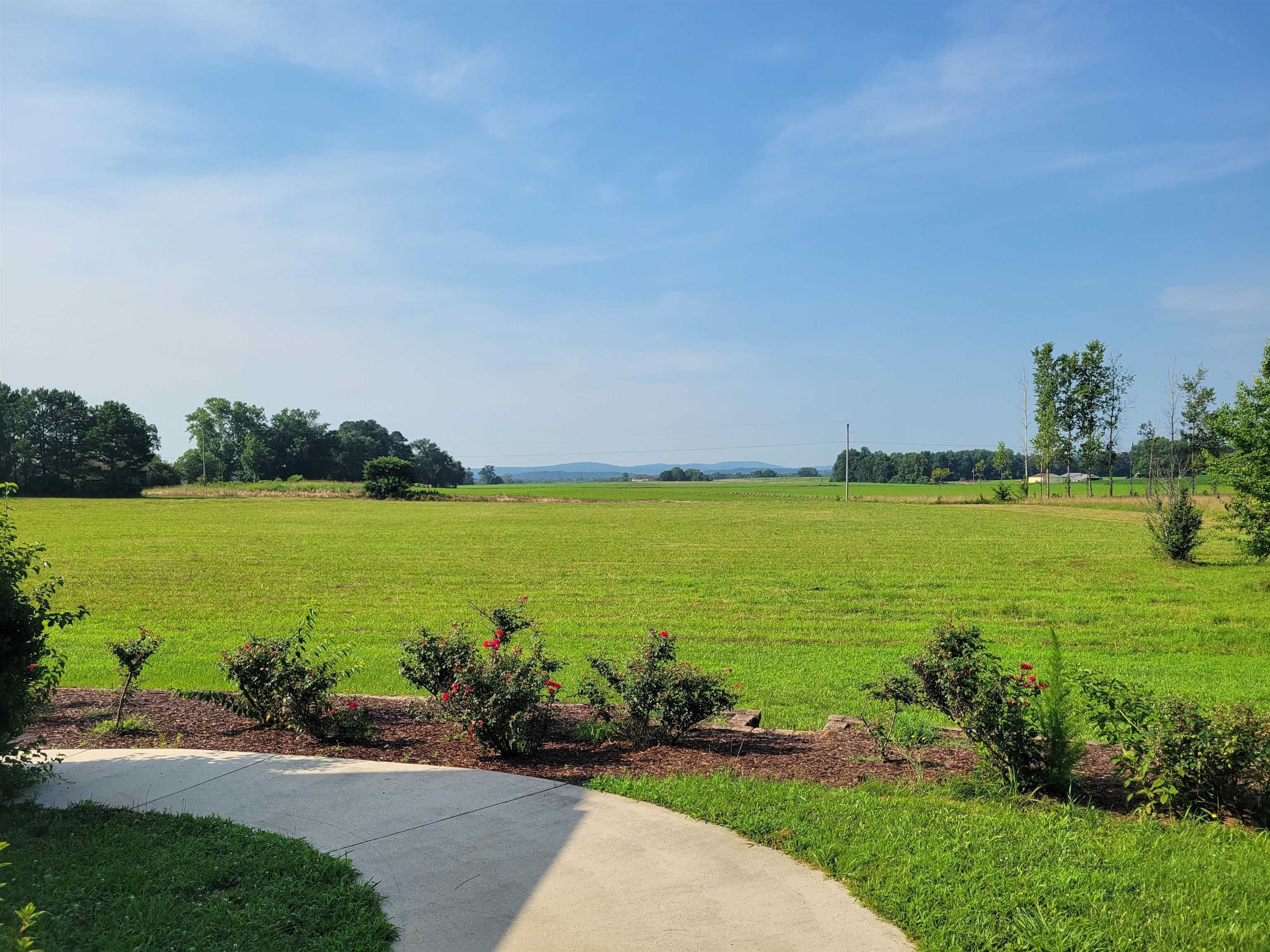81 Co Rd 546