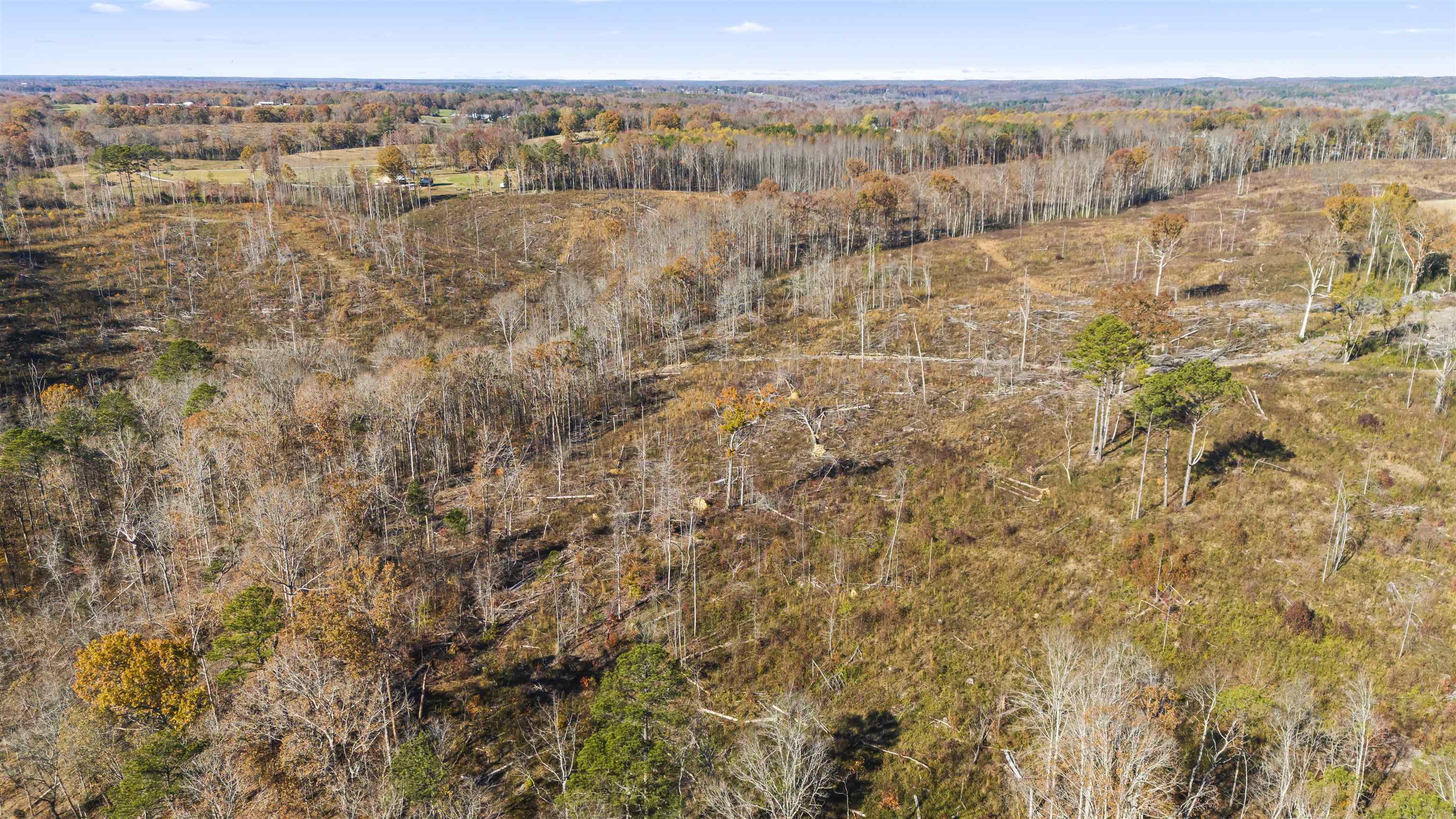 40 AC #1 Co Rd 1067