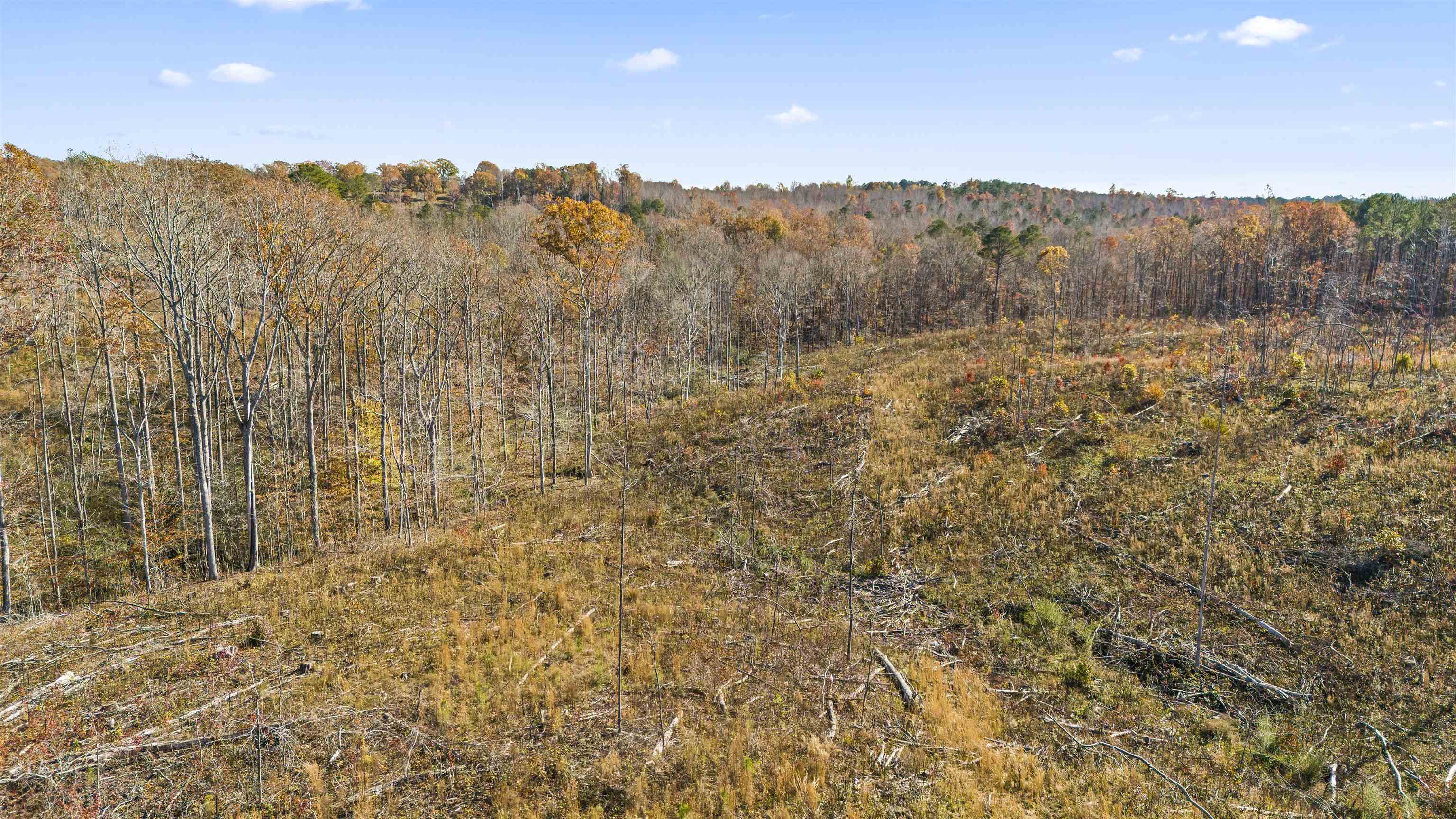40 AC #1 Co Rd 1067