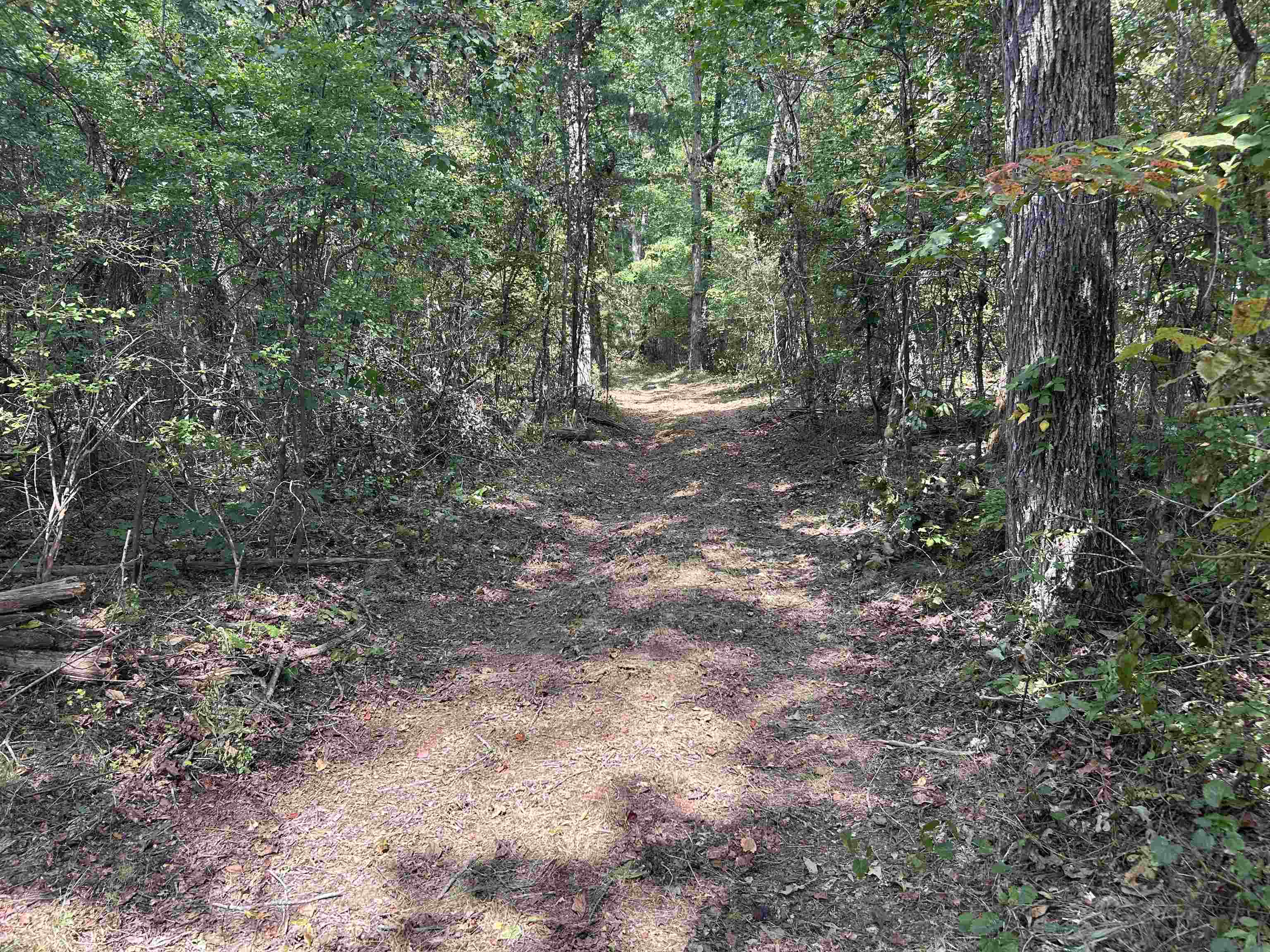 131 Co Rd 292
