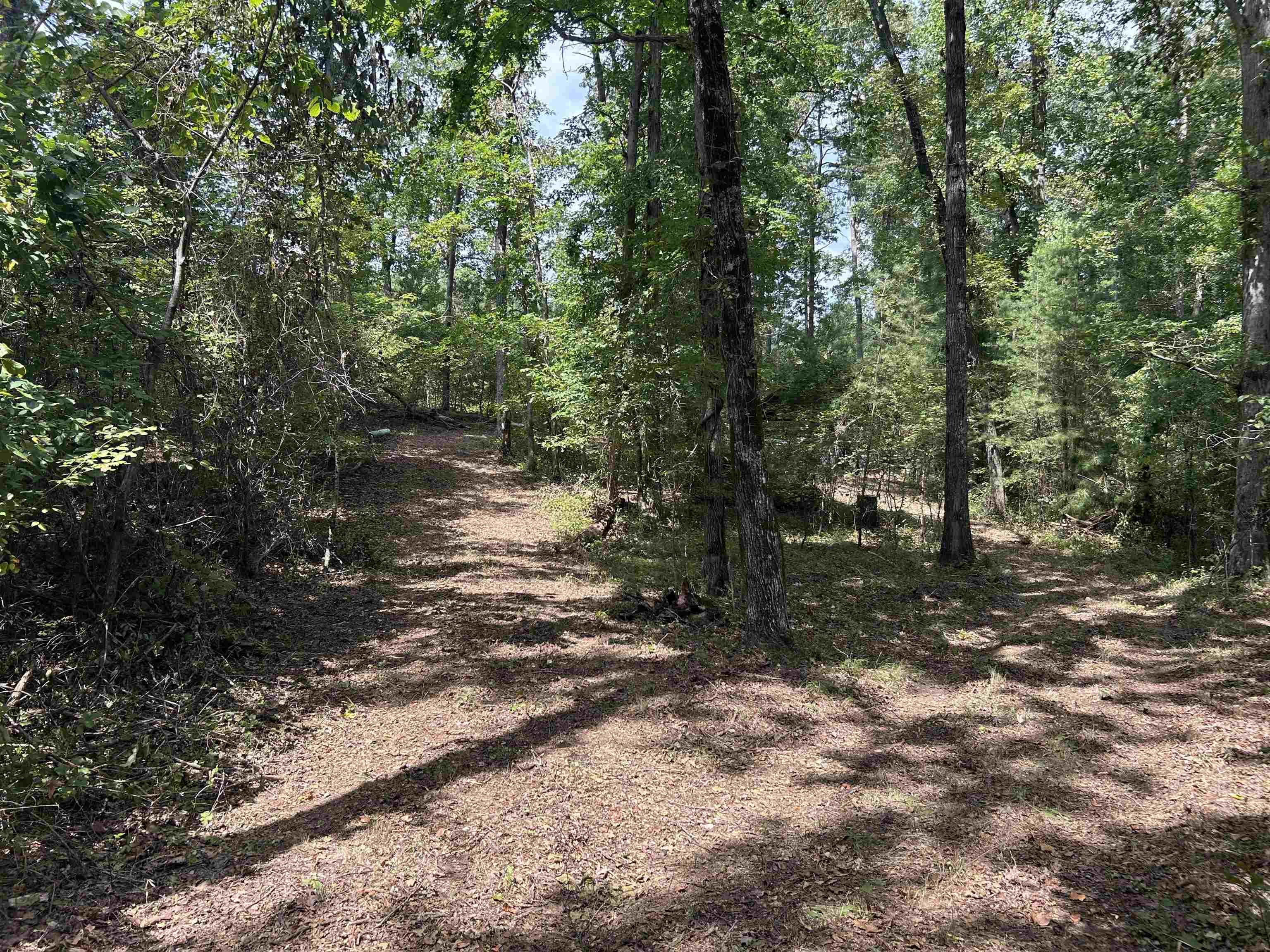 131 Co Rd 292