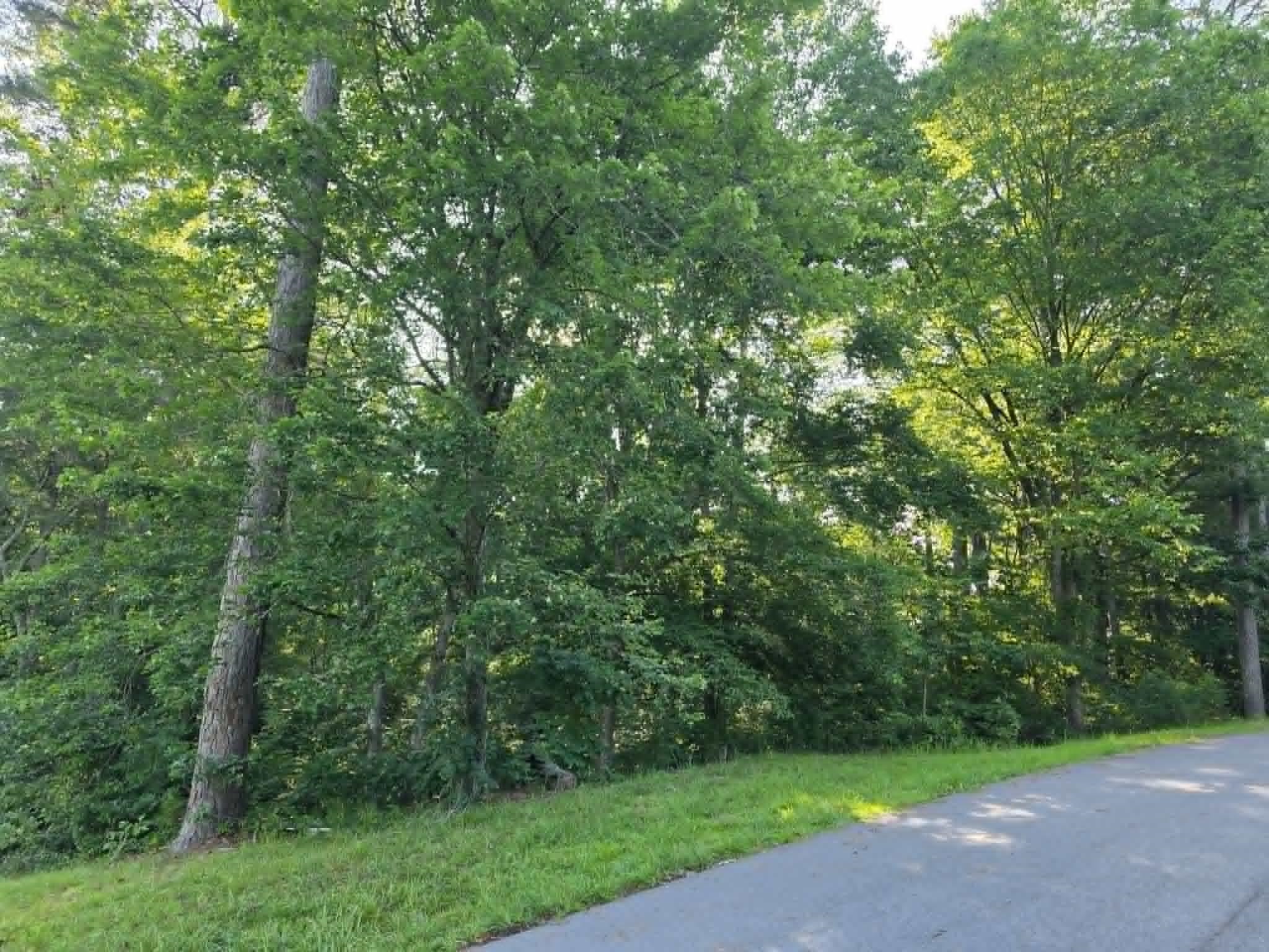Photo 1 of 11 — Lot 8 Quail Run Dr, Cullman, AL 35055