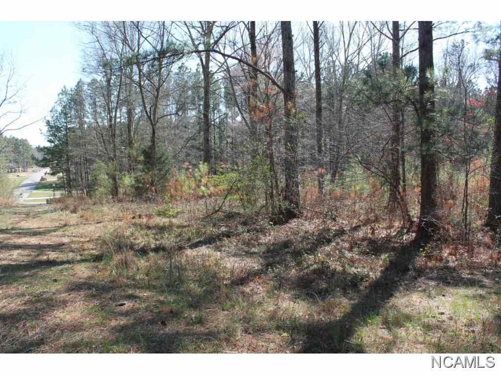 LOT 68 S Montcrest