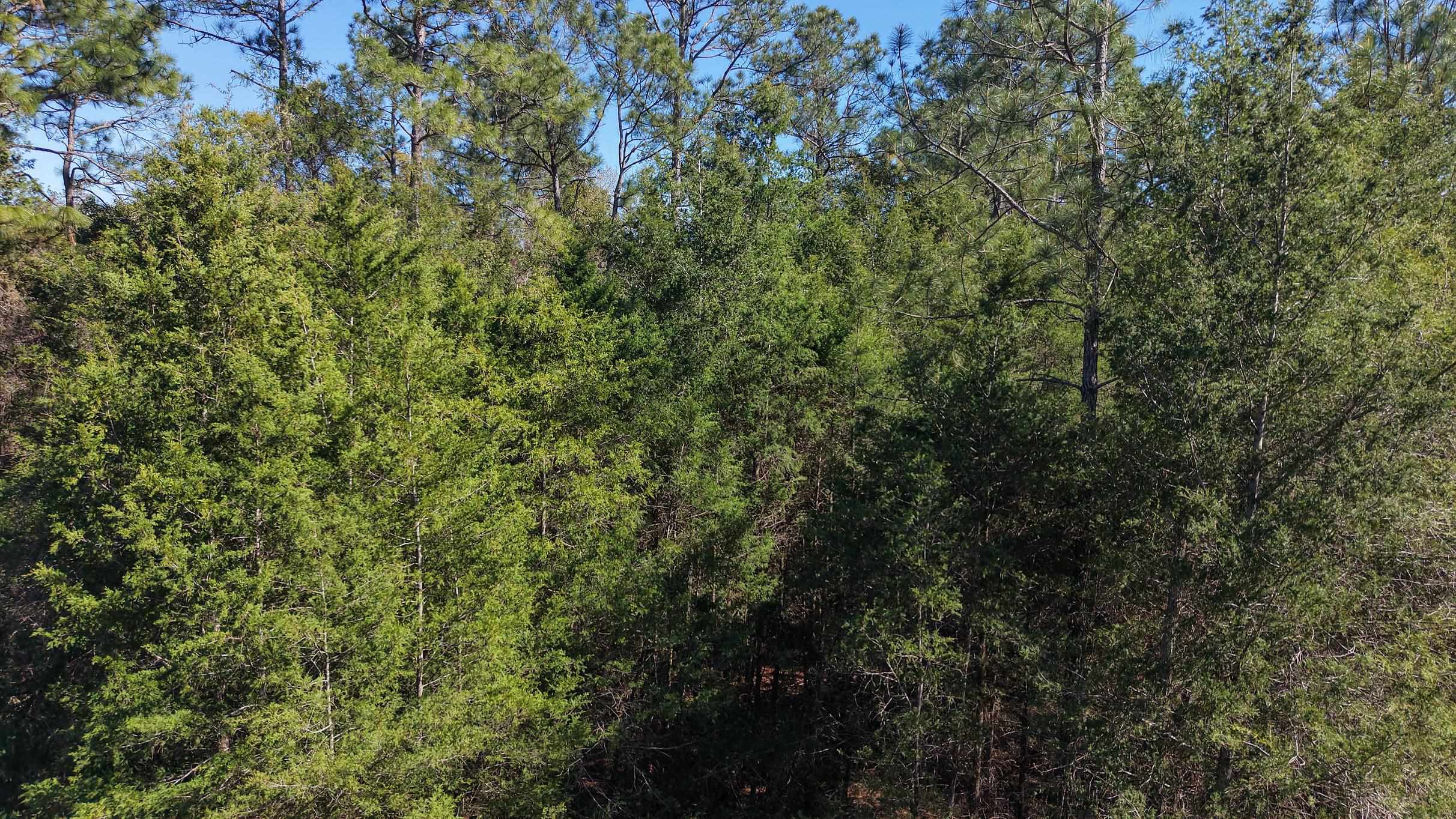 0 Co Rd 83 - Photo 4