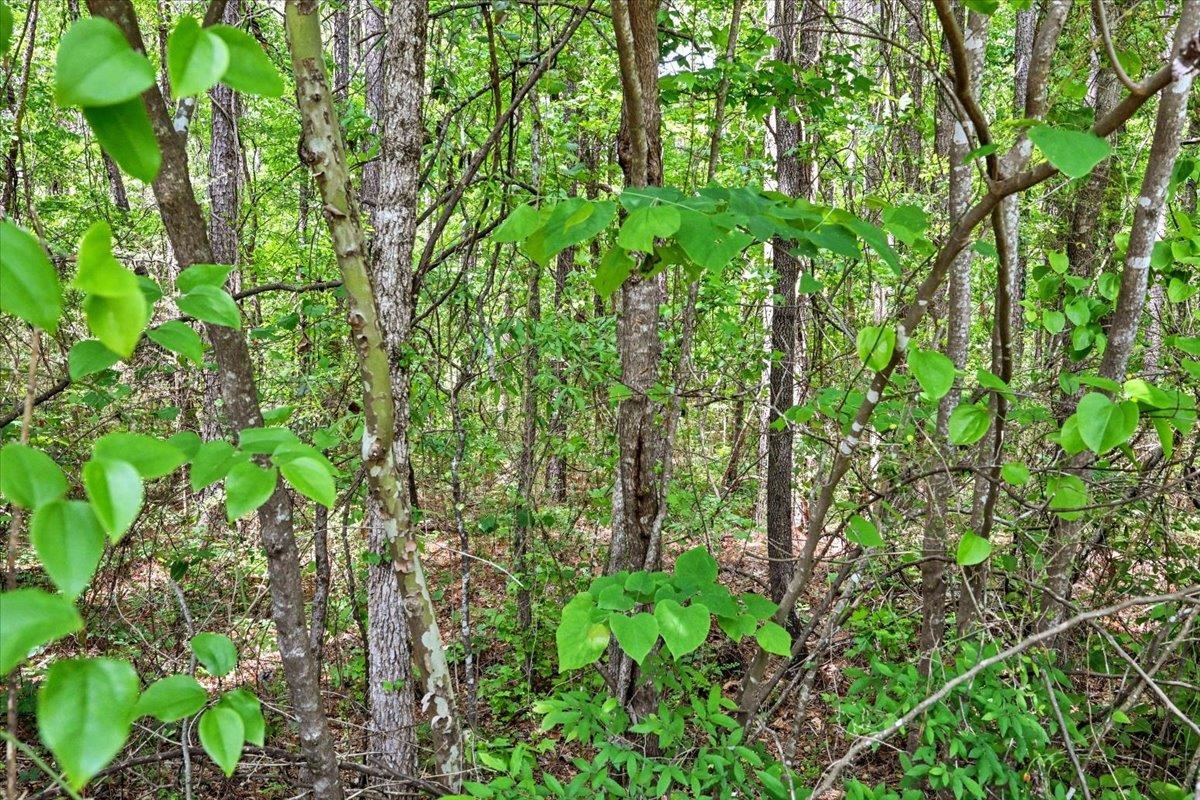 Lot 3 Mill Creek Rd