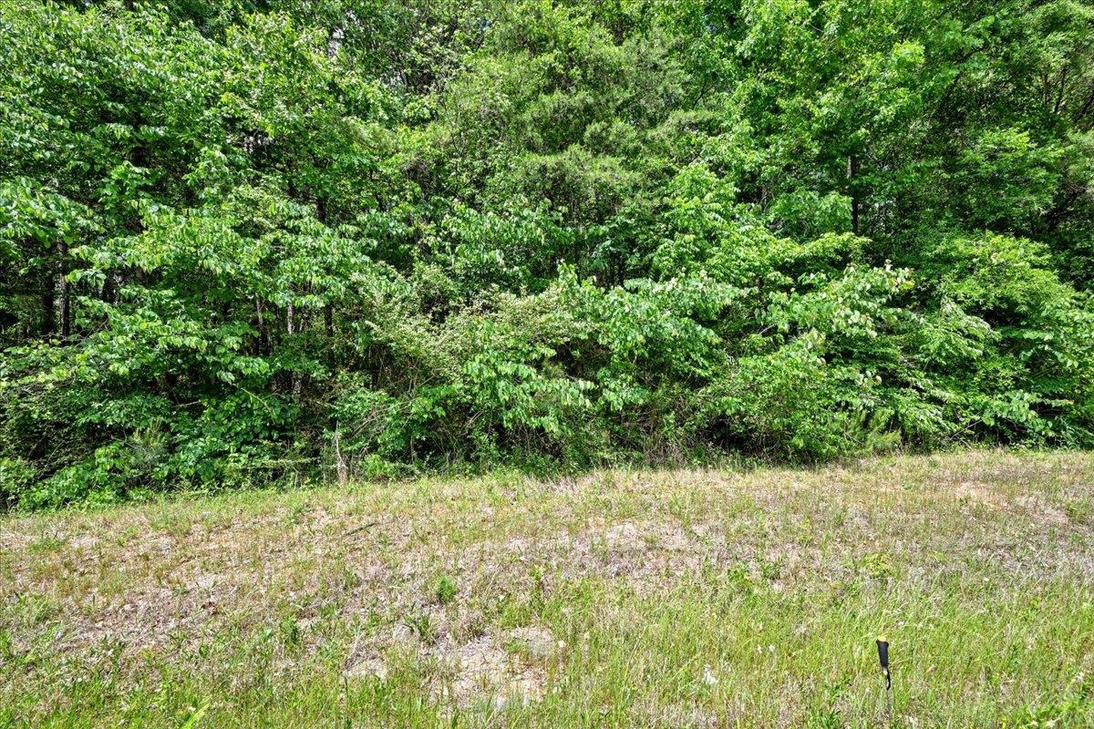 Lot 3 Mill Creek Rd