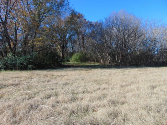 1996 ALABAMA AVE, SHEFFIELD, AL 35660 - Image 4e6ded18b0f265cb21d3ff9a13a56c86/959110681