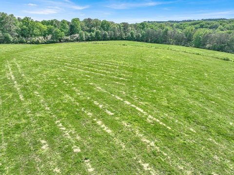 Parcel 3 Co Rd 469 Cullman AL