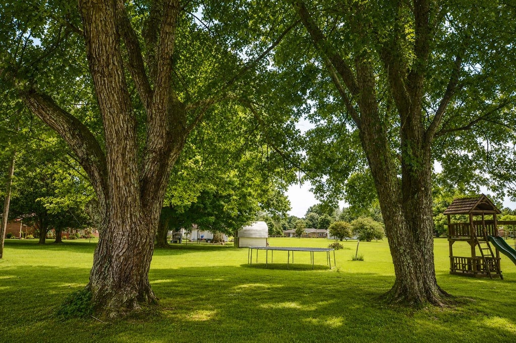 Photo of 4635 Co Rd 48, Lexington, AL 35648 (MLS # 529982)