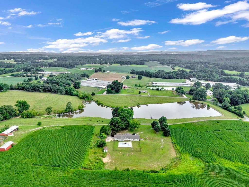 Photo of 2715 Co Rd 1269, Vinemont, AL 35179 (MLS # 529817)