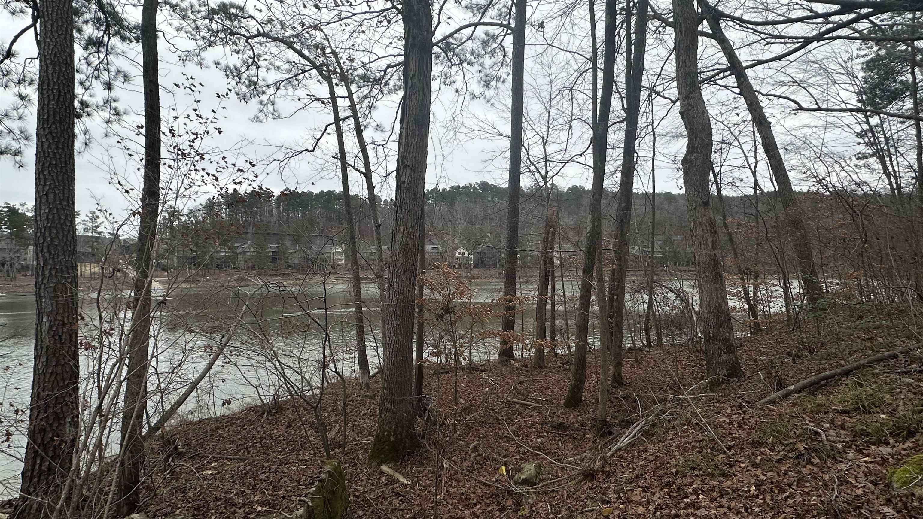 Lot 8 Co Rd 106