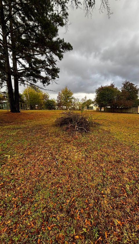 127 Meadow Dr Holly Pond AL 35058