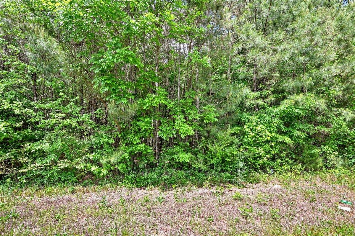 Lot 4 Mill Creek Rd