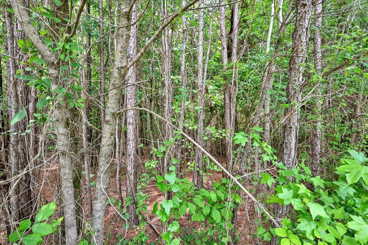 Lot 4 Mill Creek Rd