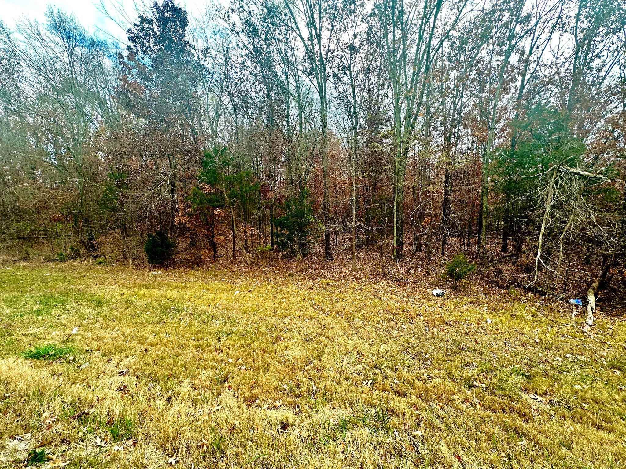 0 Highway 157 - Photo 2