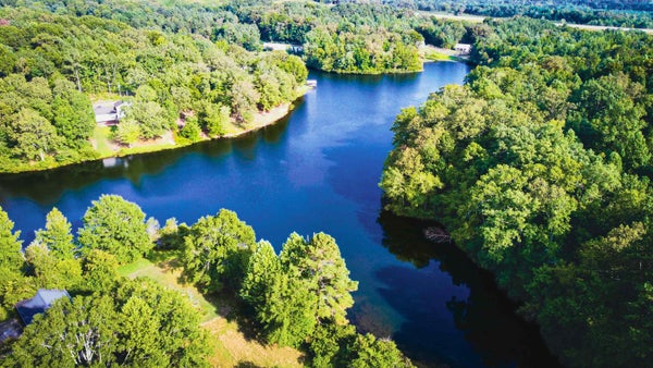 131 BATES DR, RED BAY, AL 35582 - Image 5c49ece0f7d4202a4e9be7ec2eb4c97d/4154978136