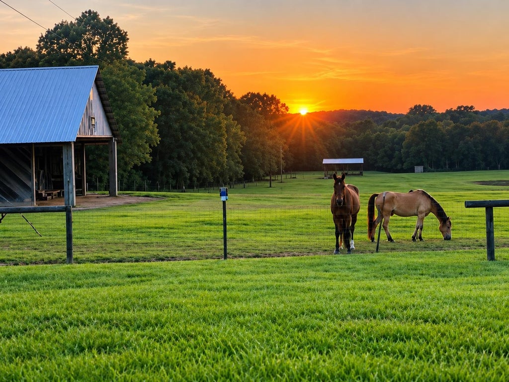 Photo of 295 Johnson Bottom Rd, Detroit, AL 35552 (MLS # 531434)