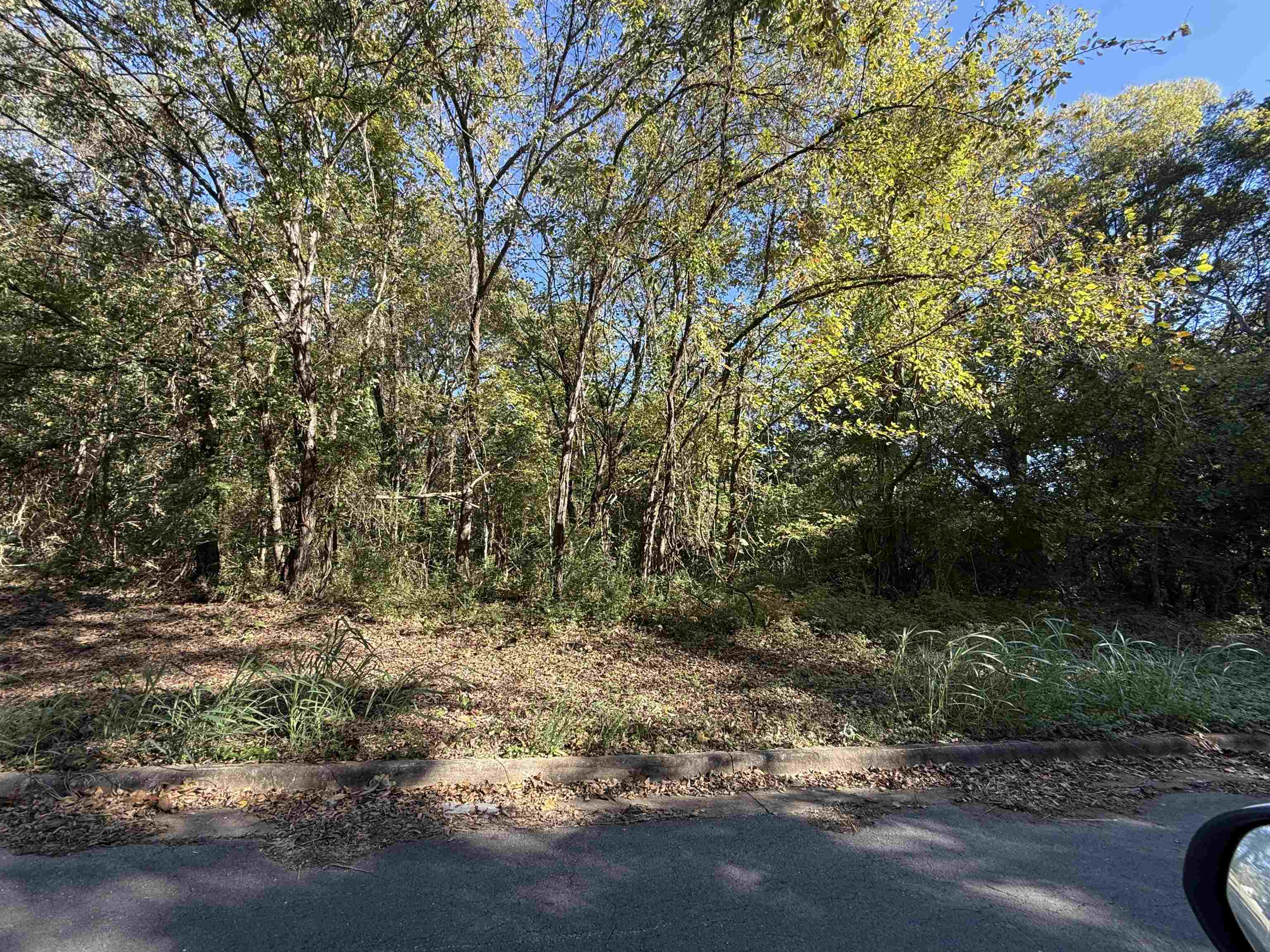 Photo 1 of 1 — LOT 3 Oakhill Ave, Sheffield, AL 35660