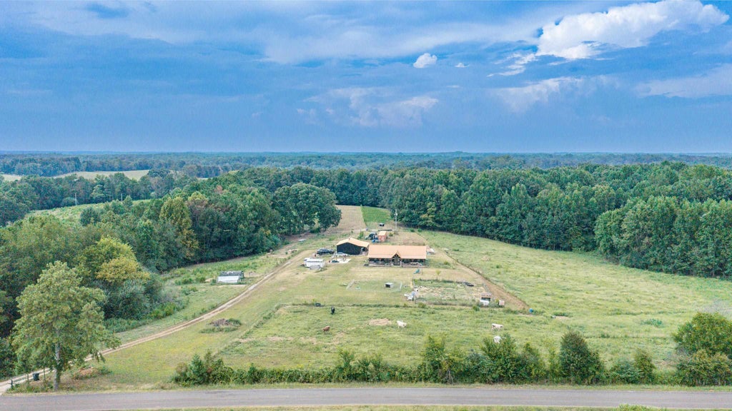 Photo of 847 Co Rd 506, Anderson, AL 35610 (MLS # 531097)