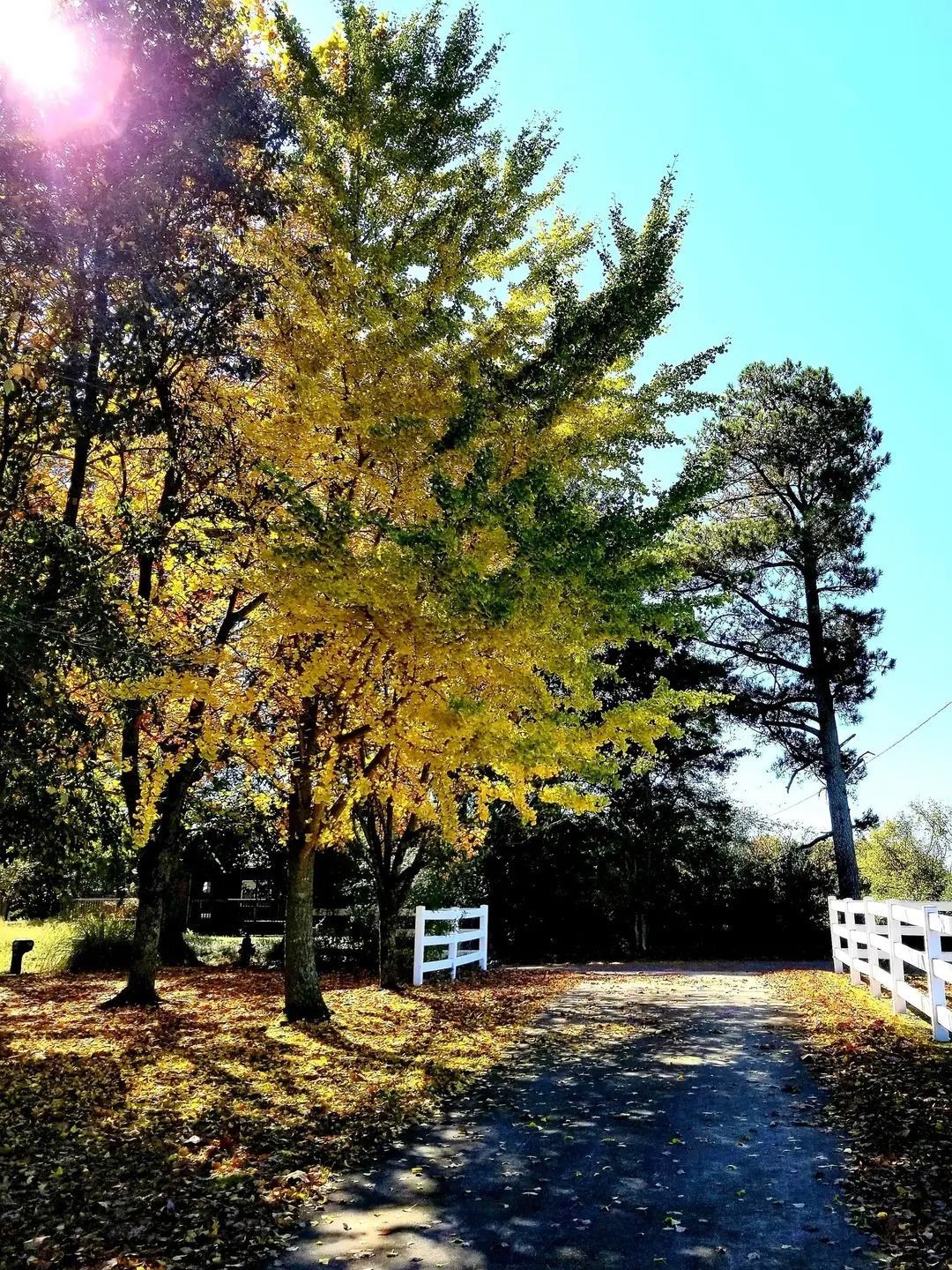 388 Welcome Falls Rd