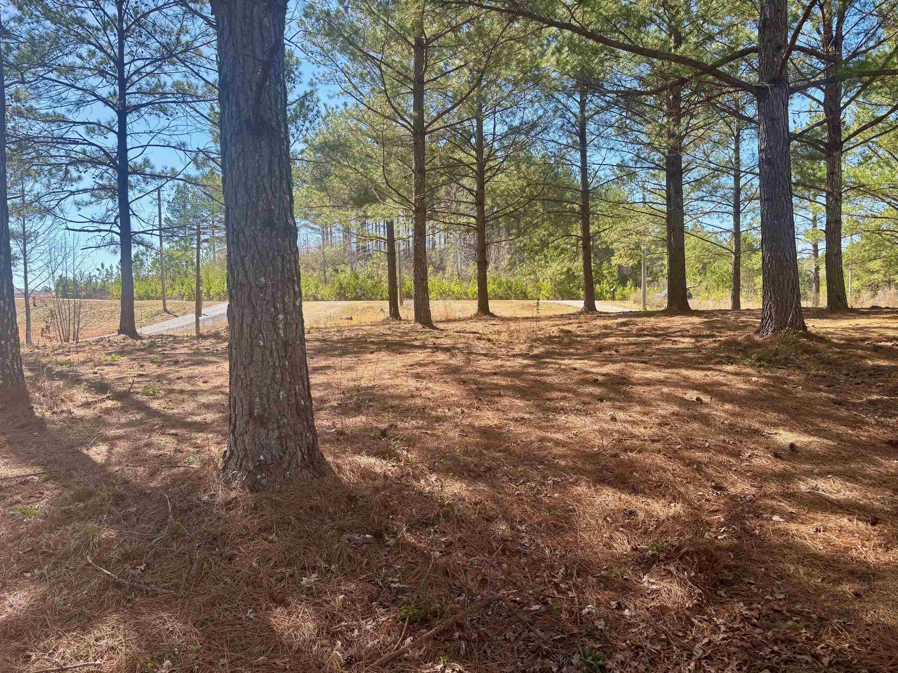 0 Co Rd 373 Lot 26