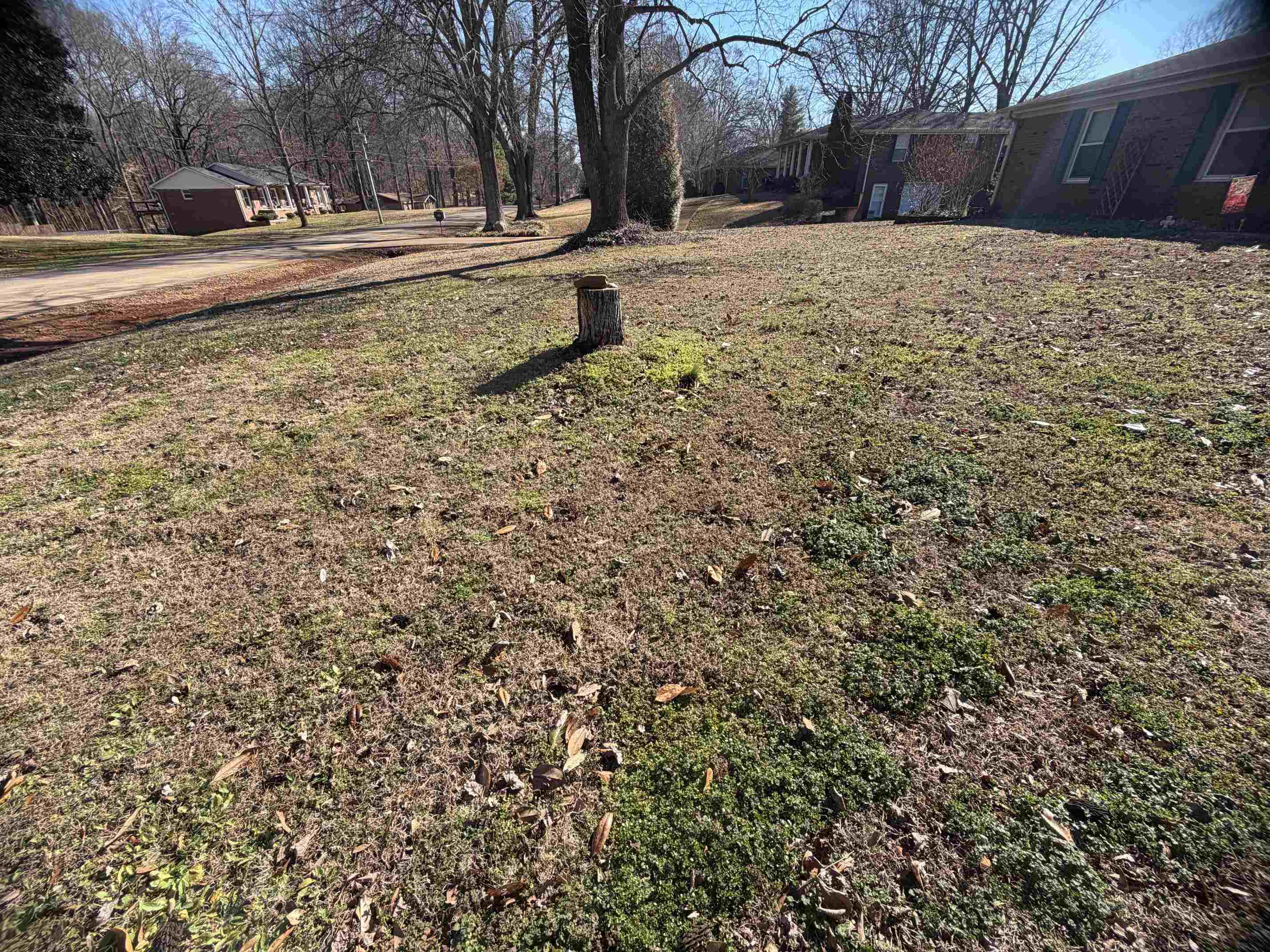180 Co Rd 230 - Photo 3