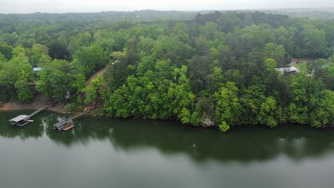 Lots 1&3 Co Rd 198 Crane Hill AL 