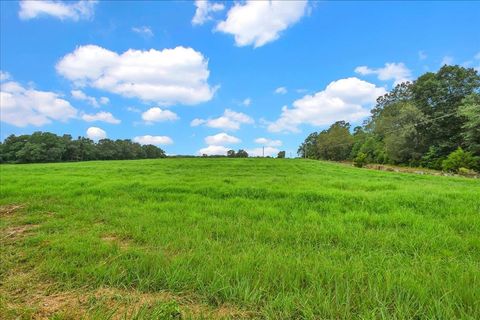 477 Lovers Ln Rd Holly Pond AL 