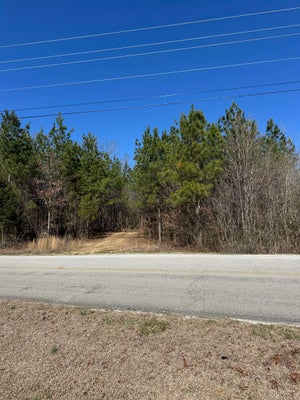 ADDRESS PRIVATE, RUSSELLVILLE, AL 35653 - Image 6a4935cbc72fe6fc5607d71b86e8afd7/876863998