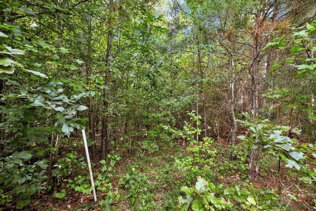 0 Co Rd 351 Tract 1