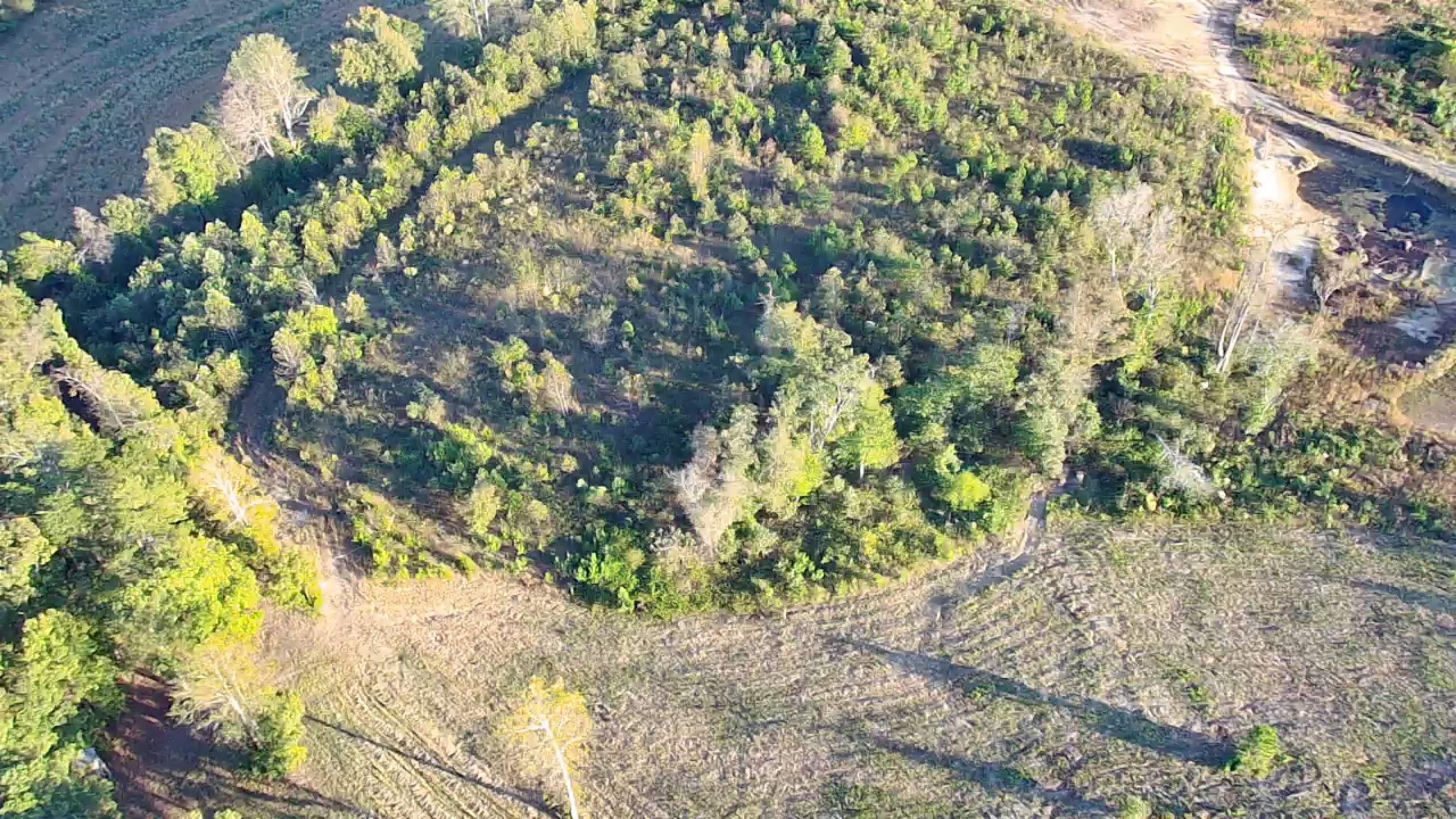697 Co Rd 1073