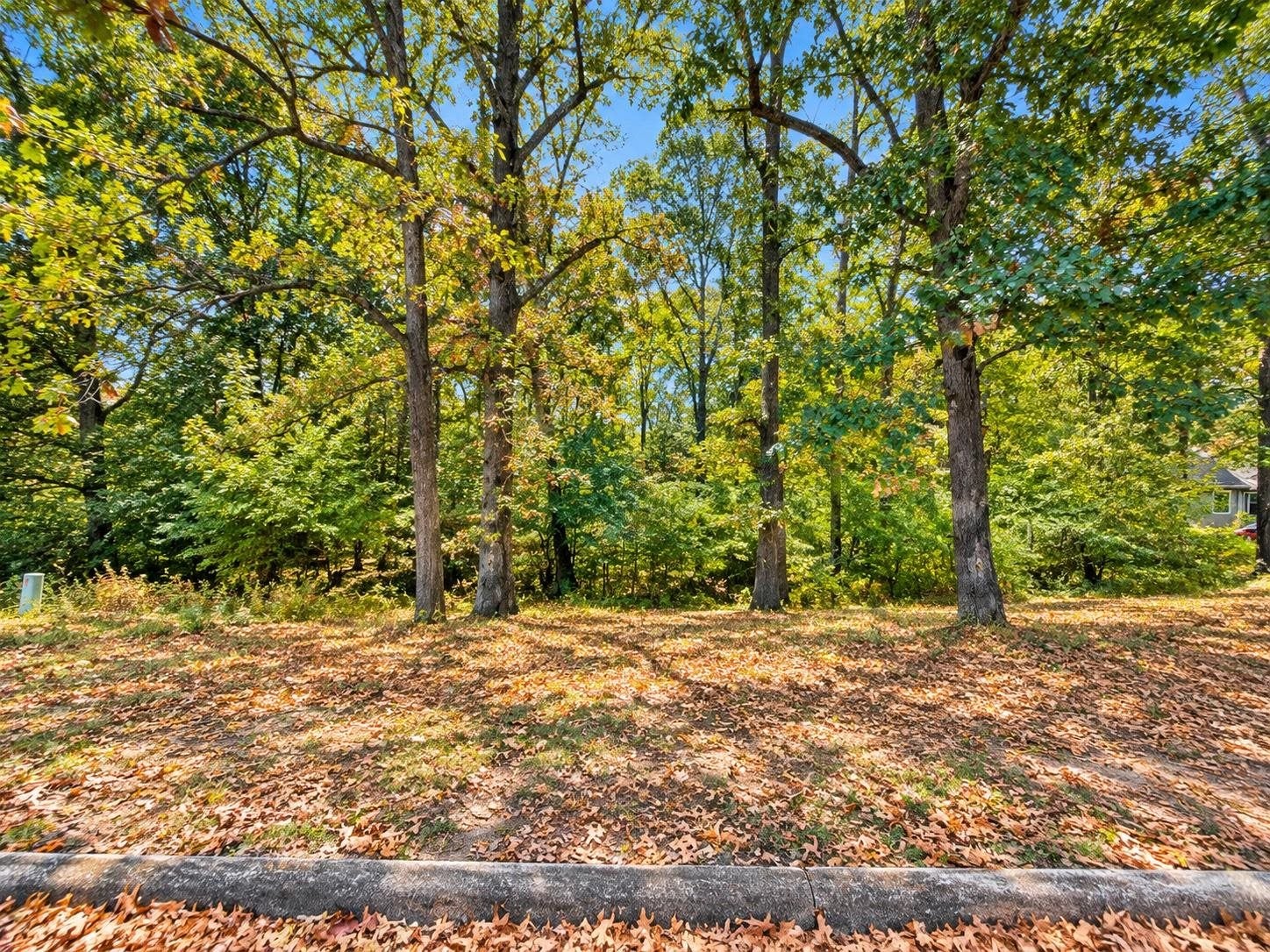 0 Wildwood Trl - Photo 2