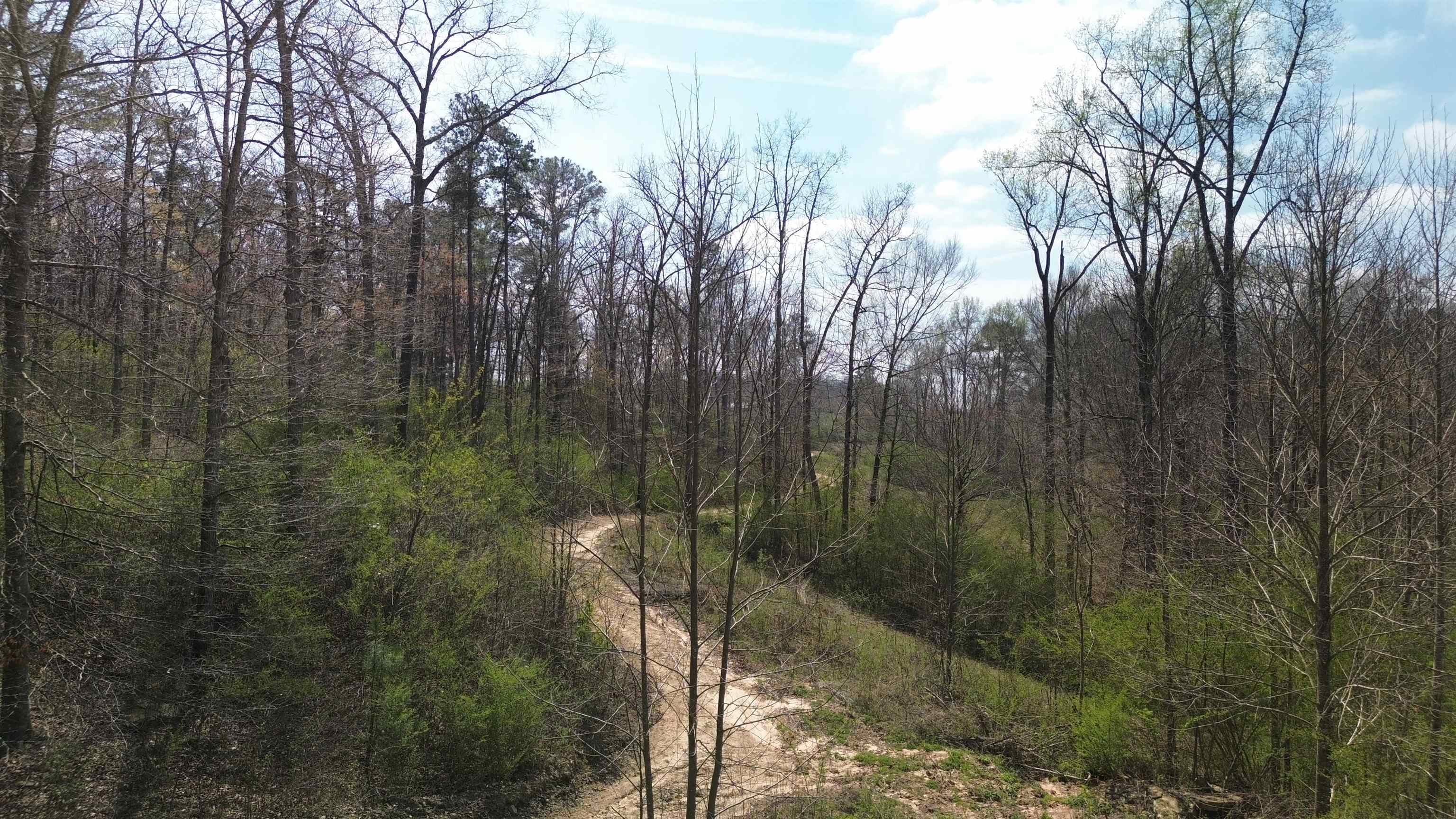 465 Co Rd 1568