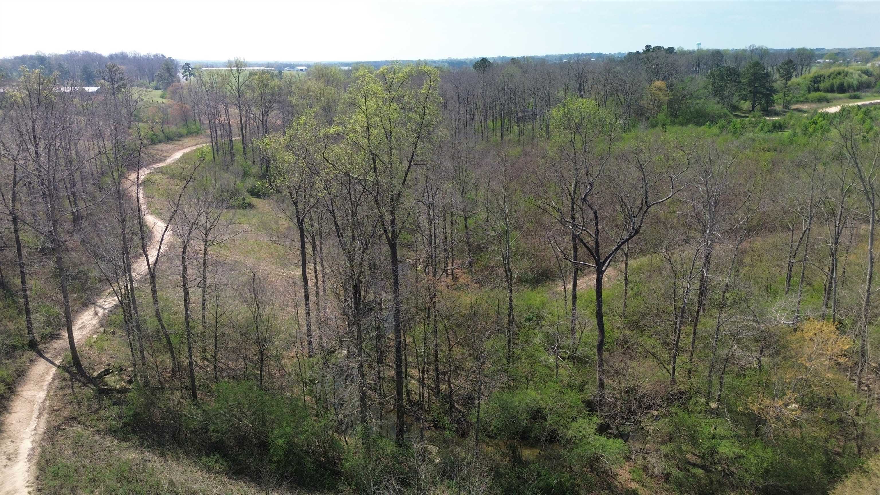 465 Co Rd 1568