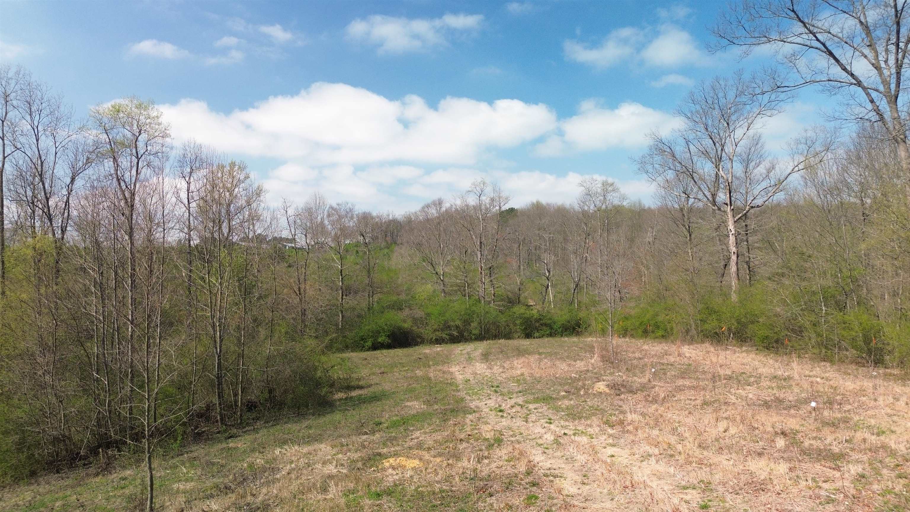 465 Co Rd 1568