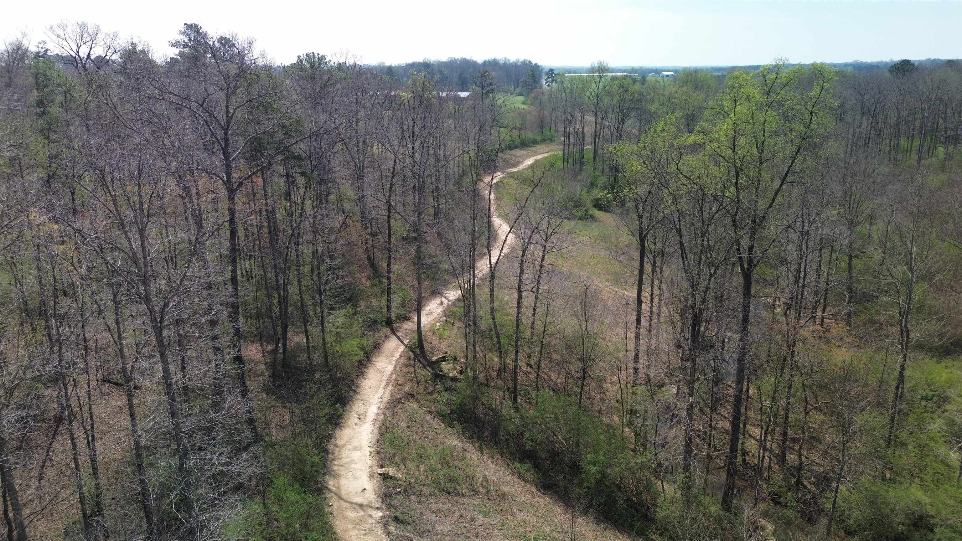 465 Co Rd 1568