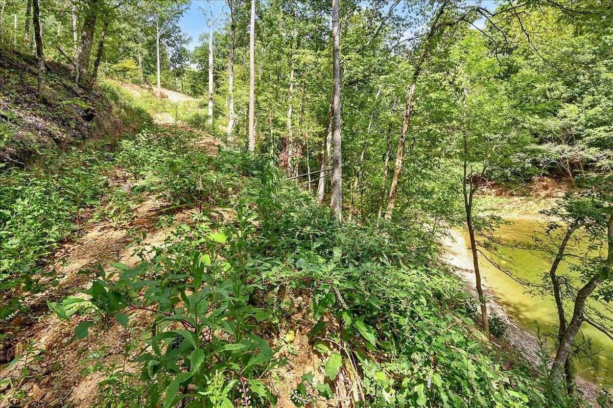 Lot 22 Co Rd 875
