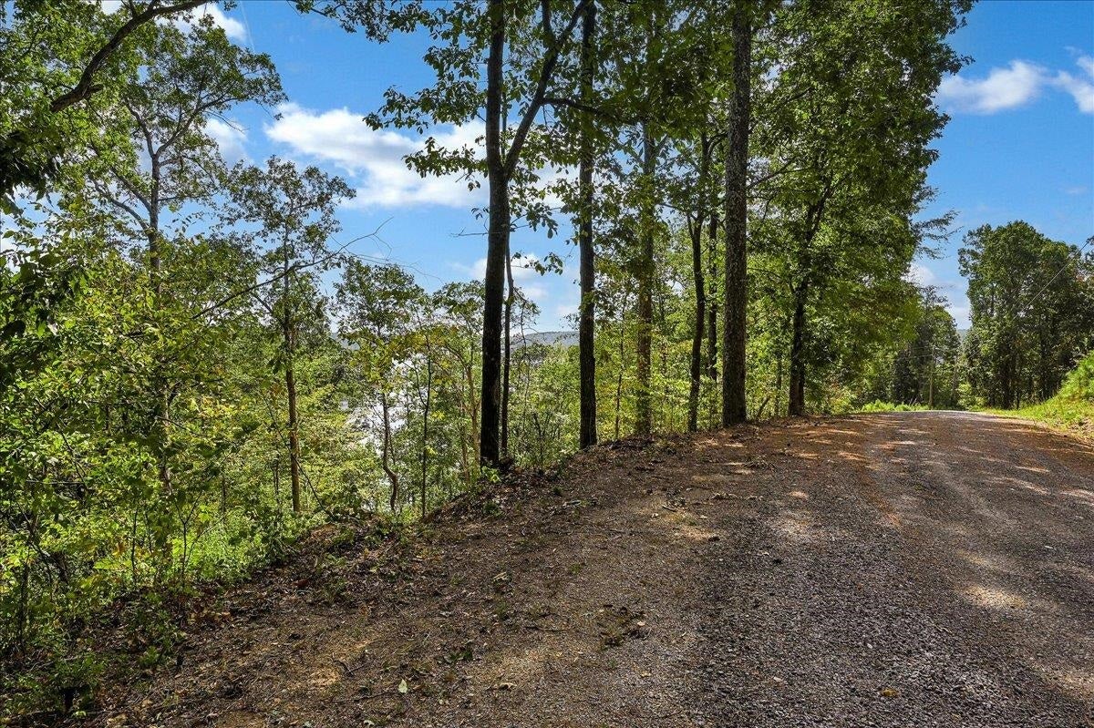 Lot 22 Co Rd 875